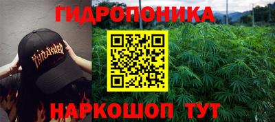 твердый Партизанск