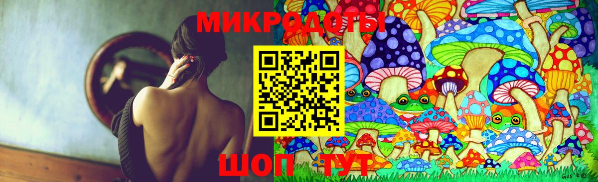 Псилоцибиновые грибы GOLDEN TEACHER Рыбинск