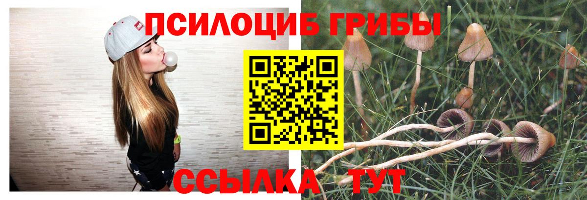 Псилоцибиновые грибы мухоморы  Галлюциногенные грибы Psilocybine cubensis  магазин продажи   Вход с VPN  Рыбинск 
